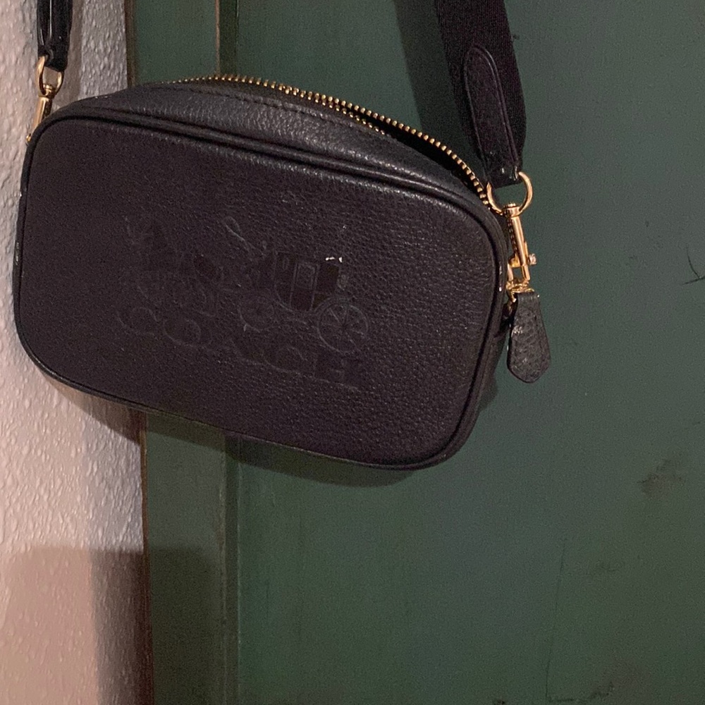 Coach bag (sm)